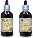 Black Currant (Ribes nigrum) Tincture, Dried Leaves Liquid Extract (Brand Name: HerbalTerra, Proudly Made in USA) 2x4 fl.oz (2x120 ml)
