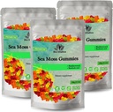 BIO VITALICA Sea Moss Gummies – with Bladderwrack & Burdock Root – Wildcrafted Gel + Powder – Vegan, Keto, Non-GMO, Gluten-Free – Fruity Mineral-Rich Gummies – 50 Count (3 Pack)