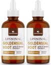 Golden Seal Tincture 3000mg - Goldenseal Root for Immune Function & Lung Care - Sugar-Free, Vegan, Fast Absorbing - Echinacea & Goldenseal Liquid Extract, 120ml (Pack of 2)