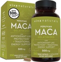 Peruvian Maca Root Supplement for Women & Men, 500mg - Traditionally Used for Energy, Stamina & Endurance - 250 Yellow Maca Root Powder Capsules, Gelatinized for Easier Digestion