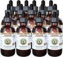 Hawaii Pharm Yohimbe Alcohol-Free Liquid Extract, Yohimbe Liquid (Pausinystalia Yohimbe) Dried Bark Glycerite Natural Herbal Supplement, USA 15x4 fl.oz
