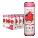 MITRA-9 Botanical Beverages - Strawberry Watermelon Sparkling Kava Drink With Kava Root Extract - Mood Enhancer - Plant Based - Promotes Natural Calm & Clarity (12 Fl. Oz) (24)