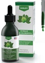 Chlorophyll Liquid Drops - 100% Natural Energy Booster and Immune Support - Internal Deodorant and Detox - Altitude Sickness Relief - Fast Absorption, Vegan & Non-GMO - 120 Servings(50mg)