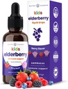 NutraChamps Black Elderberry for Kids Liquid Drops, 10:1 Extract Sambucus Elderberry Syrup for Kids, Sugar-Free European Elderberry Drops Berry Flavor, Immune Support, 4 Month Supply
