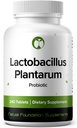 Lactobacillus Plantarum Probiotic Supplement 240 Tablets 3 Billion CFU Probiotics for Men & Women Supports Intestinal Digestive & Gut Health (240, Lactobacillus Plantarum)
