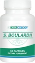 Rootcology by Dr. Izabella Wentz | S. Boulardii | Probiotic Capsules - Shelf-Stable 10 Billion CFU Saccharomyces | 60 Capsules