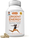 ANDREW LESSMAN Urgent Energy 360 Capsules - Provides a Safe, Healthy Means of Enhancing Energy Levels and Feelings of Well-Being, Green Tea, Guarana, Ginseng, Royal Jelly, Ashwagandha, B-Complex