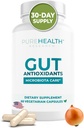 Gut Health Flavonoids Supplements - Gut Cleanse & Restore Good Digestion - Antioxidant Supplement with Berberine, Ginger, Quercetin - Gut Restore Formula to Balance and Support Digestion - 1 Bottle