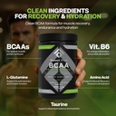 Fossil Fuel Sugar-Free BCAA Powder – Post-Workout Muscle Recovery with BCAAs, Glutamine, Vitamin B6, Amino Acids, Endurance & Hydration, Honeydew Watermelon (30 Servings)