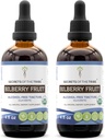 Secrets of the Tribe Bilberry Fruit USDA Organic | Alcohol-Free Extract, High-Potency Herbal Drops, Vision | Made from 100% Certified Organic Bilberry (Vaccinium Myrtillus) Dried Fruit 2x4 oz