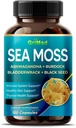GriMed Premium Sea Moss 30:1 Extract 16,100mg with Ashwagandha, Burdock Bladderwrack, Black Seed for Immune System, Skin, Digestion & Energy- Made in The USA (150 Count (Pack of 1))