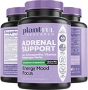 Adrenal Support & Cortisol Manager Supplement │Ultra High Purity Adaptogens, Ashwagandha Extract, Rhodiola Rosea Capsules for Natural Energy, Fatigue, Mood Boost Non GMO