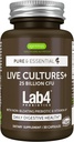 Igennus Probiotics & Prebiotic, Lactobacillus Acidophilus & Bifidobacterium, Gut Health Support, Live Cultures+ Lab4, Guaranteed 25 Billion CFU, for Women & Men, Non-Bloating, Non-GMO, 30 Capsules