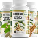 GreeNatr Ginko Biloba & Panax Ginseng Supplement - Red Ginseng Brain Supplement for Memory and Focus - Ginkgo Biloba Supplements for Good Vision, Immune System and Improved Blood Flow - 3 Bottles