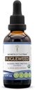 Bugleweed USDA Organic | Alcohol-FREE Extract, High-Potency Herbal Drops, Respiratory System | Made from 100% Certified Organic Bugleweed (Ze Lan, Lycopus Virginicus) Dried Herb 2 oz