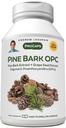 ANDREW LESSMAN Pine Bark OPC Anti-Oxidant Extracts 30 Capsules - Supports Tissues and Organ Systems to Neutralize Damaging Free-Radicals, Proanthocyanidins, Powerful Anti-oxidant, No Additives