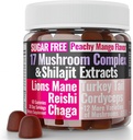 Sugar-Free Shilajit Mushroom Complex Gummies, Mushrooms Extract w. Lion's Lions Mane Reishi Turkey-Tail Cordyceps Shiitake Chaga Maitake Lionsmane Tincture Tea Powder Capsules Supplement Organic