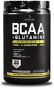 SASCHA FITNESS BCAA 4:1:1 + Glutamine,HMB,L-Carnitine, HICA | Powerful and Instant Powder Blend with Branched Chain Amino Acids (BCAAs) for Pre, Intra and Post-Workout|Natural Pineapple Flavor,362.5g