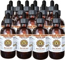 White Pine Liquid Extract, White Pine (Pinus Strobus) Bark Powder Tincture, Herbal Supplement, Hawaii Pharm, Made in USA, 15x4 fl.oz