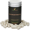 Noomadic Dihydromyricetin (DHM), 60 Capsules | 300mg Each, Also Known as Ampelopsin & Hovenia Dulcis Extract.