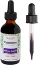 Quantum Health Elderberry Liquid Extract From Sambucus Nigra, High Dose, Fast Absorption, European Black Elderberry Liquid Supplement For Immune Support, 2 FL OZ
