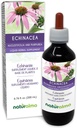 Naturalma Echinacea (Echinacea angustifolia and purpurea) Root and herb Alcohol-Free Tincture - 6.76 fl oz Liquid Extract in Drops - Herbal Supplement - Vegan