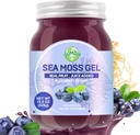Sea Moss Gel, 18.5OZ Raw Flavored Irish Seamoss Gel Immune and Digestive Support Vitamin Mineral Supplements, Blueberry