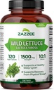 Zazzee Extra Strength Wild Lettuce 10:1 Extract, 1500 mg Strength, 120 Vegan Capsules, Potent Lactuca Virosa Variety, Concentrated 10X Extract, 100% Vegetarian, All-Natural, Non-GMO, Made in The USA
