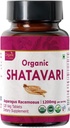 Shatavari 120 Tablets | Asparagus Racemosus (Shatavari) | USDA Organic Certified | Supports Women’s Health and Immune System* | Dietary Supplement 120tab