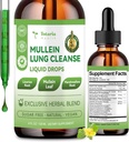 Mullein Drops for Lungs with Licorice, Marshmallow Root, Chlorophyll, 4 FL.OZ Sugar Free Mullein Drops for Lung Detox, Respiratory & Immune Wellness, Lung & Bronchial Cleanse for Smokers, No Alcohol