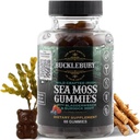 BUCKLEBURY Wild Crafted Irish Sea Moss Gummies with Bladderwark & Burdock Root - Natural Chewable Multivitamin Vegan Sea Moss Gummies for Immune, Thyroid & Digestive Support - 60 Count