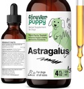 Forever Puppy Astragalus Root Drops for Dogs - Astragalus Membranaceus Extract for Dogs' Immune Support - Herbal Pet Liquid Supplements for Immunity & Joyful Pet Care - 4 oz