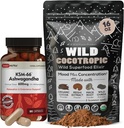 DailyNutra KSM 66 Ashwagandha (90 Capsules) and Mushroom Cacao Mix (16oz) Bundle for Relaxation and Focus