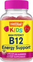 WellYeah Vitamin B12 Gummies for Kids - Boost Energy, Improve Brain Function, and Strengthen Immune System - Non-GMO, Gluten-Free - Great Tasting Berry Flavor - Easy to Chew - 60 Gummies