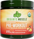 USDA Organic Pre-Workout Powder, Strawberry Mango | Clean Energy Without Jitters | Natural Performance Boost | No Artificial Sweeteners | 20 Superfoods | Low Caffeine, 20 Servings