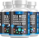 Silicon Sea Moss Black Seed Oil Ashwagandha Bladderwrack Burdock - 180 Count