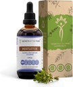 Secrets of the Tribe Mistletoe Tincture Alcohol-Free Liquid Extract, Mistletoe (Viscum Album) Dried Herb (4 FL OZ)