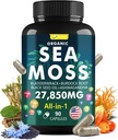 Sea Moss Capsules with Black Seed Oil, Aşhwagandha, Ginger & Vitamin C - Advanced Sea Moss Pills, Wildcrafted Sea Moss, Bladderwrack & Elderberry, 90 Tablets