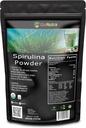 Go Nutra Spirulina Powder Organic | Pure Non GMO Superfoods for Antioxidant, Minerals, Fatty Acids, Fiber & Protein | Vegan Friendly (1 lb. (16 oz.))