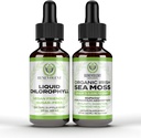 Benevolent Chlorophyll Liquid Drops + Irish Sea Moss Drops 2oz, 4 Month Supply Liquid Chlorophyll Supplement for Internal Deodorizer & Radiant Skin