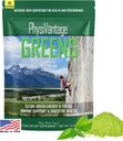PhysiVantage - Organic Greens Powder - Helps Support Energy, Immunity, & Digestive Health - Prebiotics, Probiotics, Post-biotics - Natural Detox - Vegan - 25 Servings