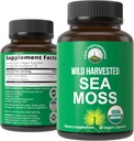Organic Sea Moss Capsules. Wild Harvested Sea Moss Raw Organic Vegan Supplement from Red Algae Seaweed. 100% Whole Extract Raw Irish SeaMoss Superfood Pills. for Gut, Respiratory, Immune Support.